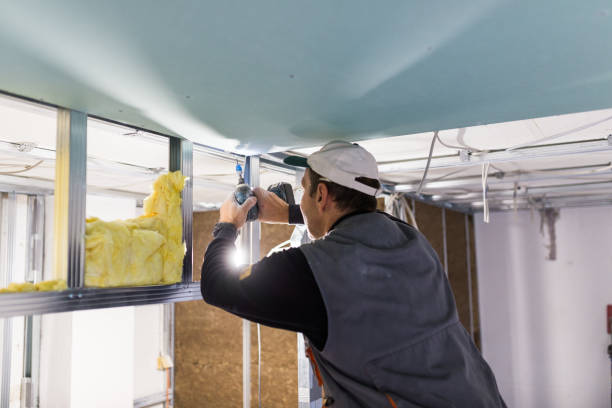 Best Cellulose Insulation  in Keowee Key, SC