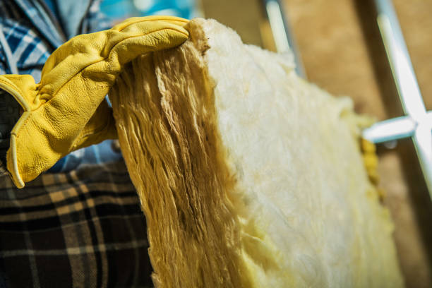 Best Spray Foam Insulation  in Keowee Key, SC